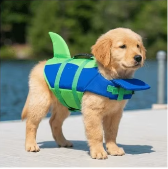 AquaPawz Shark Fin Dog Life Jacket in blue and green, worn by a golden retriever puppy on a dock