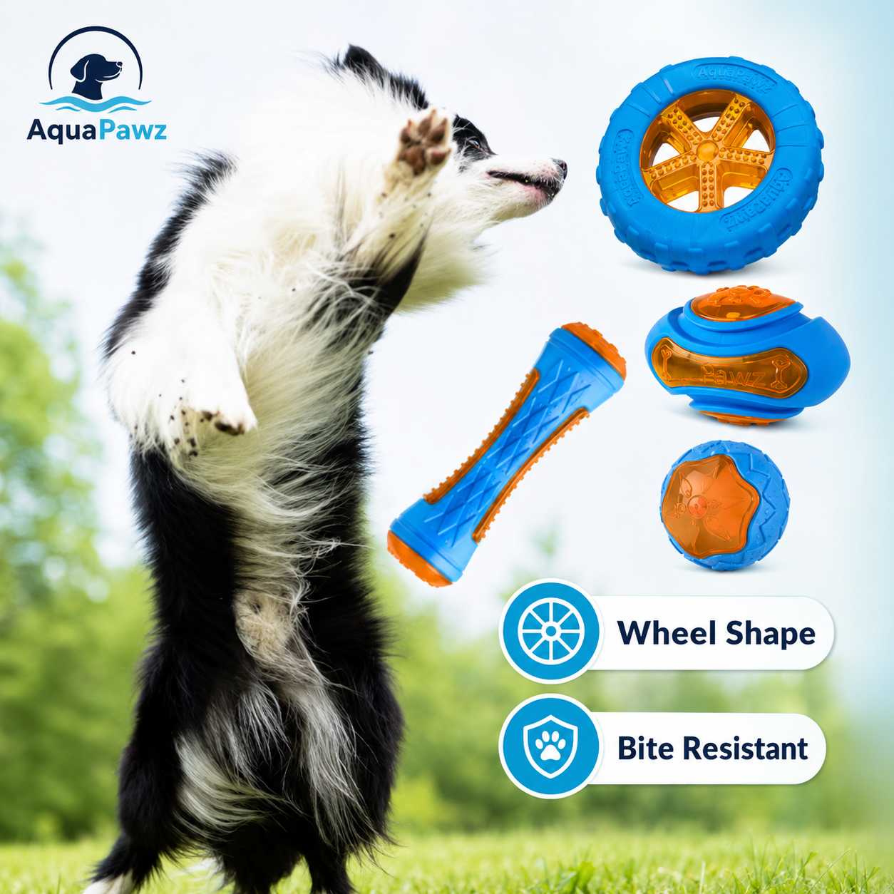 AquaPawz Chew & Play Dog Toy