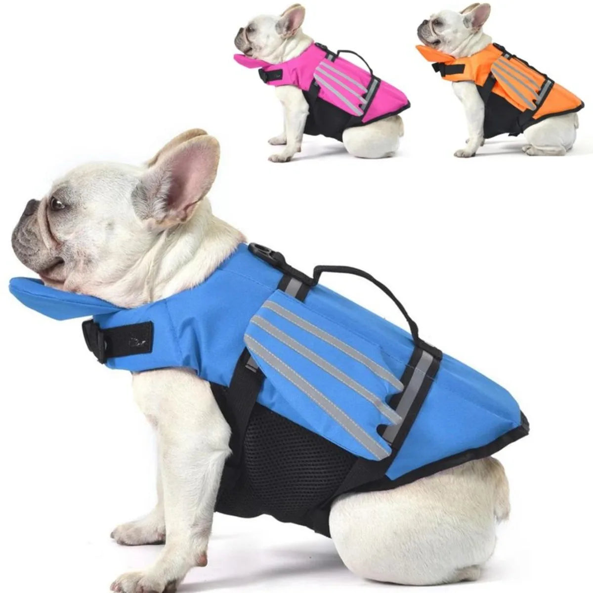 AquaPawz Reflect Pro dog life jacket in blue worn by a French Bulldog