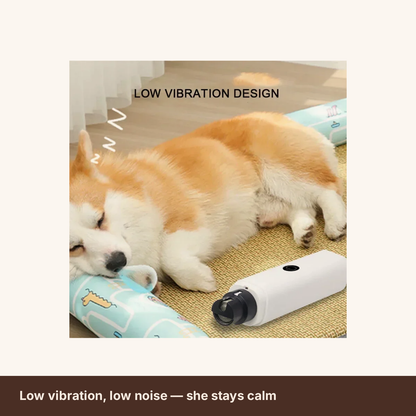 Low vibration nail grinder, calm dog