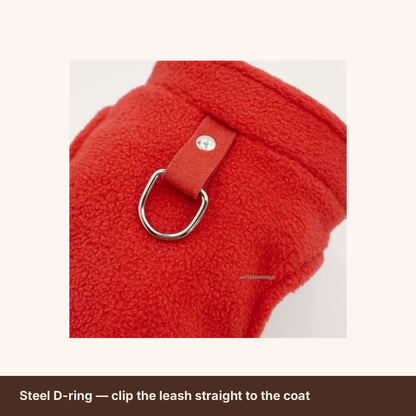 Steel D-ring leash attachment